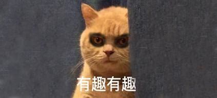 剪刀法原理|辟谣：吹上天的“剪刀大法寻猫”有科学依据吗？真的就这么玄乎？